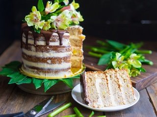 Обои цветы, шоколад, сладкое, торт, десерт, слои, крем, flowers, chocolate, sweet, cake, dessert, layers, cream разрешение 2400x1600 Загрузить