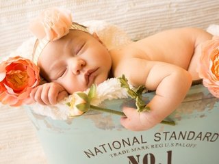 Обои цветы, сон, девочка, ребенок, одеяло, младенец, мех, ящик, flowers, sleep, girl, child, blanket, baby, fur, box разрешение 2048x1365 Загрузить