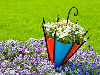 Обои цветы, трава, природа, лето, зонт, анютины глазки, газон, клумба, flowers, grass, nature, summer, umbrella, pansy, lawn, flowerbed разрешение 3831x2554 Загрузить