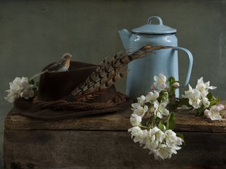 Обои цветы, ветки, доски, птичка, чайник, яблоня, шляпа, перо, flowers, branches, board, bird, kettle, apple, hat, pen разрешение 3008x2000 Загрузить