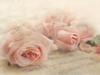 Обои цветы, розы, лепестки, букет, письмо, flowers, roses, petals, bouquet, letter разрешение 1920x1200 Загрузить