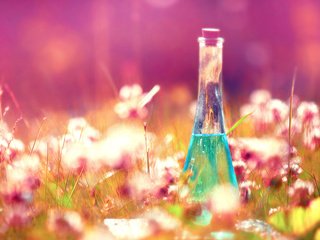 Обои цветы, трава, флакон, эликсир, flowers, grass, bottle, elixir разрешение 3840x2400 Загрузить