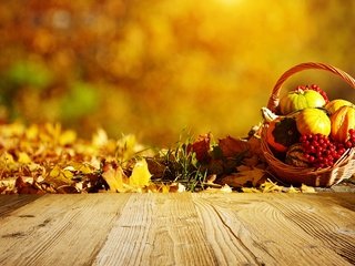 Обои природа, листья, осень, ягоды, тыква, nature, leaves, autumn, berries, pumpkin разрешение 3000x1883 Загрузить