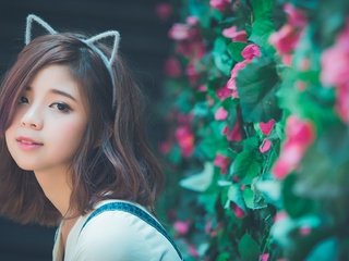 Обои взгляд, ушки, азиатка, look, ears, asian разрешение 2048x1152 Загрузить