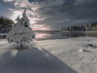 Обои небо, ель, облака, деревья, озеро, снег, природа, лес, зима, the sky, spruce, clouds, trees, lake, snow, nature, forest, winter разрешение 1920x1200 Загрузить