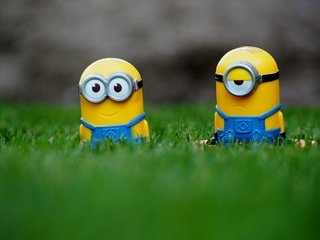 Обои трава, очки, мультфильм, игрушек, комбинезон, миньоны, grass, glasses, cartoon, toys, jumpsuit, minions разрешение 4354x3086 Загрузить