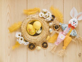 Обои игрушка, кролик, пасха, яйца, праздник, гнездо, toy, rabbit, easter, eggs, holiday, socket разрешение 6000x4000 Загрузить