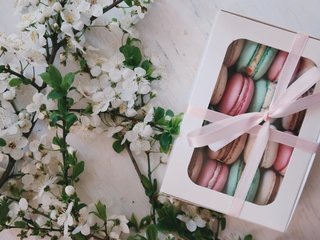 Обои цветы, подарок, коробка, макаруны, flowers, gift, box, macaroon разрешение 5472x3648 Загрузить