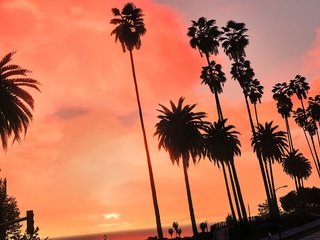 Обои рассвет, лето, город, пальмы, тропики, dawn, summer, the city, palm trees, tropics разрешение 3840x2160 Загрузить