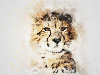 Обои морда, картина, взгляд, гепард, акварель, face, picture, look, cheetah, watercolor разрешение 3000x2000 Загрузить