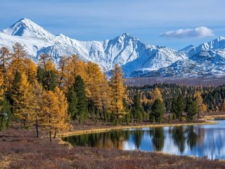 Обои деревья, озеро, горы, лес, осень, россия, горный алтай, алтайские горы, озеро киделю, lake cicely, trees, lake, mountains, forest, autumn, russia, the altai mountains разрешение 1920x1155 Загрузить