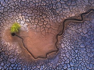 Обои земля, природа, пустыня, трещины, растение, earth, nature, desert, cracked, plant разрешение 2047x1294 Загрузить