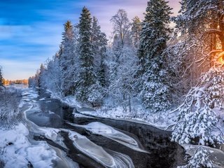 Обои река, лес, зима, утро, river, forest, winter, morning разрешение 3840x2160 Загрузить