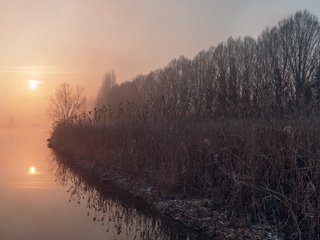 Обои озеро, туман, осень, камыш, lake, fog, autumn, reed разрешение 2048x1365 Загрузить