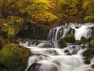 Обои река, японии, каскад, камни, нагано, лес, панорама, водопад, осень, япония, мох, river, cascade, stones, nagano, forest, panorama, waterfall, autumn, japan, moss разрешение 6000x2000 Загрузить