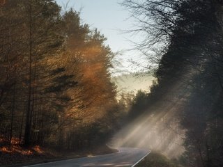 Обои свет, дорога, утро, light, road, morning разрешение 2048x1289 Загрузить