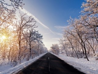 Обои снег, зима, зимний лес, snow, winter, winter forest разрешение 2048x1356 Загрузить