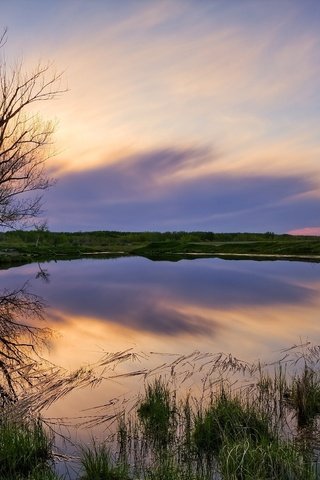 Обои небо, озеро, дерево, берег, закат, пейзаж, природ, the sky, lake, tree, shore, sunset, landscape, natures разрешение 2560x1577 Загрузить