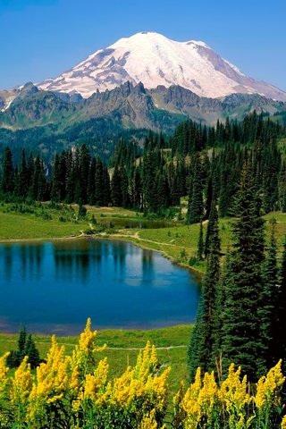 Обои деревья, озеро, горы, trees, lake, mountains разрешение 2560x1600 Загрузить