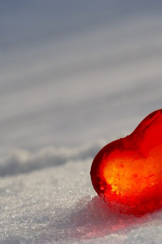 Обои снег, лёд, сердце, snow, ice, heart разрешение 2560x1600 Загрузить