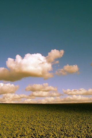 Обои облака, поле, цвет, clouds, field, color разрешение 1920x1440 Загрузить