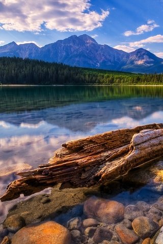 Обои озеро, горы, бревно, lake, mountains, log разрешение 1920x1200 Загрузить