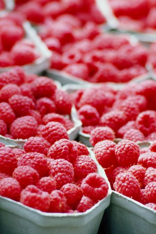 Обои малина, красный, лоток, raspberry, red, tray разрешение 2560x1920 Загрузить