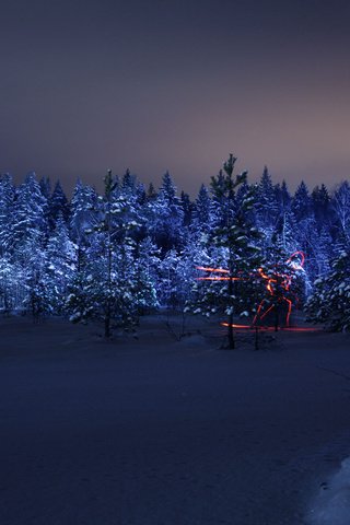 Обои ночь, лес, зима, олимпиада, силуэт, лыжник, night, forest, winter, olympics, silhouette, skier разрешение 1920x1280 Загрузить