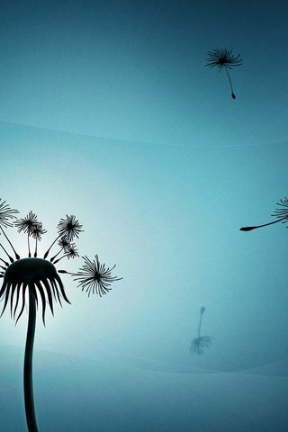 Обои свет, минимализм, одуванчик, пух, light, minimalism, dandelion, fluff разрешение 2560x1600 Загрузить