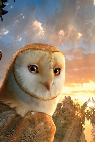 Обои сова, легенды ночных стражей, legend of the guardians: the owls of ga’hoole, совы, owl, legend of the guardians, legend of the guardians: the owls of ga hoole, owls разрешение 1920x1080 Загрузить