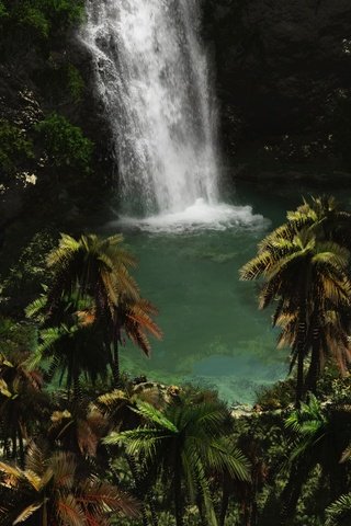 Обои вода, зелень, водопад, пальмы, water, greens, waterfall, palm trees разрешение 1920x1080 Загрузить