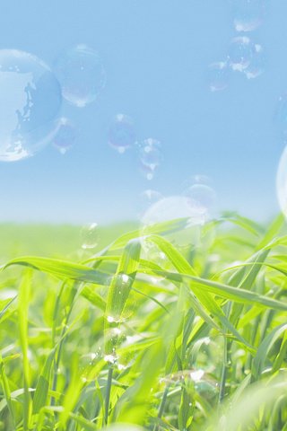 Обои мыльные пузыри, зеленое поле, bubbles, green field разрешение 1920x1200 Загрузить