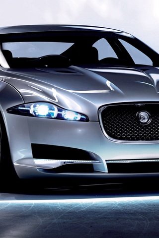 Обои ягуа́р, jaguar разрешение 1920x1080 Загрузить