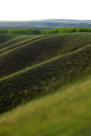 Обои трава, природа, зелень, поле, размытость, холм, grass, nature, greens, field, blur, hill разрешение 1920x1080 Загрузить