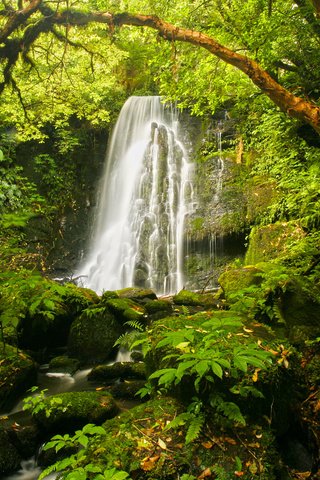 Обои камни, растения, водопад, мох, папоротник, stones, plants, waterfall, moss, fern разрешение 1920x1080 Загрузить