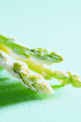 Обои зеленая, спаржа, соевая, green, asparagus, soy разрешение 2560x2022 Загрузить