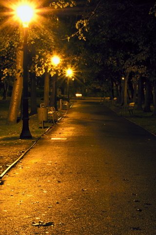 Обои ночь, фонари, парк, скамейка, аллея, night, lights, park, bench, alley разрешение 1920x1200 Загрузить