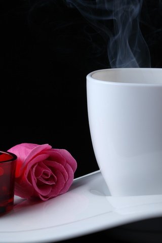 Обои роза, чашка, свеча, rose, cup, candle разрешение 1920x1280 Загрузить