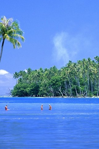 Обои пальмы, остров, тропики, palm trees, island, tropics разрешение 1920x1080 Загрузить