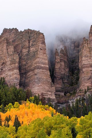 Обои небо, облака, горы, скалы, природа, лес, туман, осень, the sky, clouds, mountains, rocks, nature, forest, fog, autumn разрешение 2560x1600 Загрузить