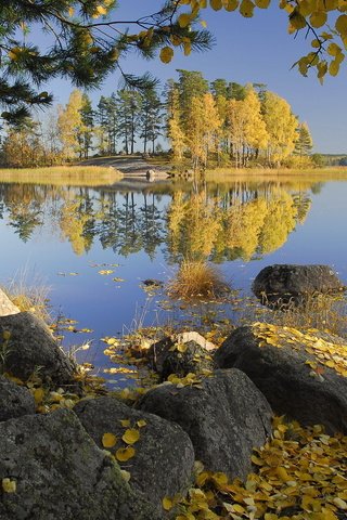 Обои деревья, озеро, камни, листья, отражение, осень, trees, lake, stones, leaves, reflection, autumn разрешение 2560x1600 Загрузить