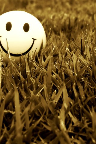 Обои трава, настроение, улыбка, смайлик, trava, nastroenie, smajl, удыбка, grass, mood, smile, smiley, ulybka разрешение 2048x1536 Загрузить