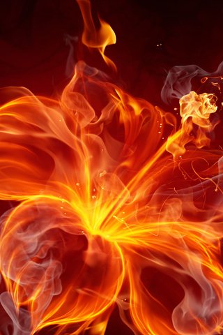 Обои абстракция, пламя, цветок, огонь, дым, силуэт, волшебный цветок, abstraction, flame, flower, fire, smoke, silhouette разрешение 2560x1600 Загрузить