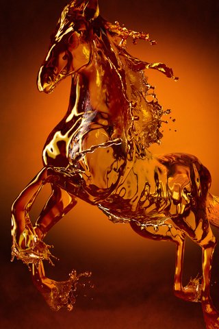 Обои лошадь, вода, конь, horse, water разрешение 1920x1080 Загрузить