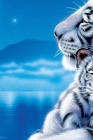 Обои белый тигр с тигренком, white tiger with cub разрешение 1920x1080 Загрузить