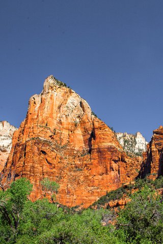 Обои горы, сша, юта, zion national park, национальный парк, штат юта, mountains, usa, utah, national park разрешение 1920x1200 Загрузить