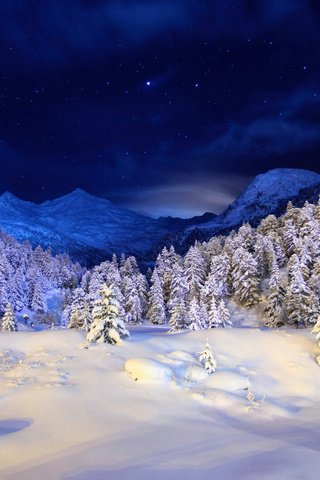 Обои небо, ночь, горы, снег, дерево, лес, зима, the sky, night, mountains, snow, tree, forest, winter разрешение 1920x1200 Загрузить
