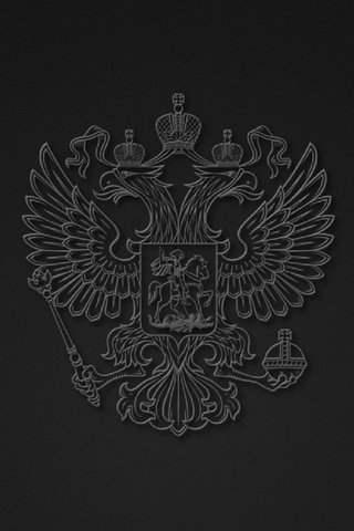 Обои герб, серое, россия, двухглавый орел, coat of arms, grey, russia, the two-headed eagle разрешение 1920x1080 Загрузить