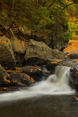 Обои камни, государственный парк огайопайл, лес, водопад, осень, пенсильвания, штат пенсильвания, каскад, meadow run waterslides, ohiopyle state park, stones, state park ohiopyle, forest, waterfall, autumn, pa, pennsylvania, cascade разрешение 2316x1080 Загрузить