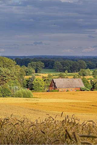 Обои деревья, пейзаж, поле, дома, trees, landscape, field, home разрешение 3544x1775 Загрузить